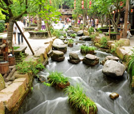 千年水碼頭、古鎮(zhèn)黃龍溪一日游