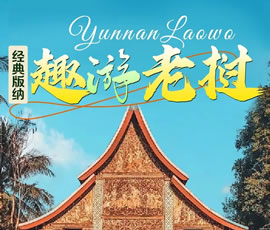 【趣游老撾 · 經(jīng)典版納】—昆明、普洱、西雙版納、磨丁、瑯勃拉邦四動8日游
